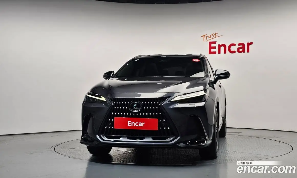 Lexus NX 2023 2.5 автомат (гидро), фото 3