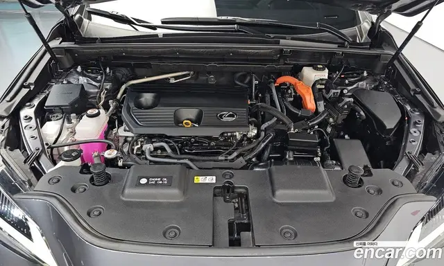 Lexus NX 2023 2.5 автомат (гидро), миниатюра 6