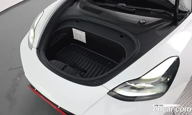 Tesla Model 3 2021 0.2 автомат (гидро), миниатюра 6