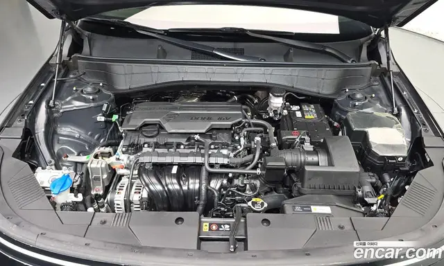Hyundai Kona 2024 2.0 автомат (гидро), миниатюра 5