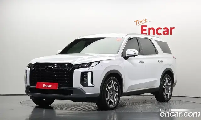 Hyundai Palisade, 2022, 16 698 км