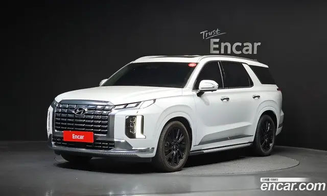 Hyundai Palisade, 2023, 23 532 км