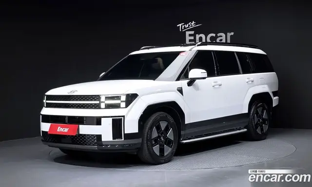 Hyundai Santa Fe, 2024, 29 160 км