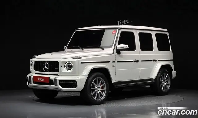 Mercedes-Benz G-Class, 2020, 49 826 км