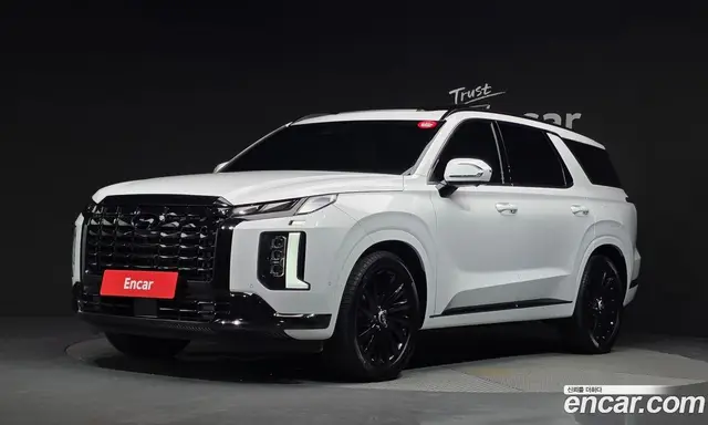 Hyundai Palisade, 2024, 38 649 км