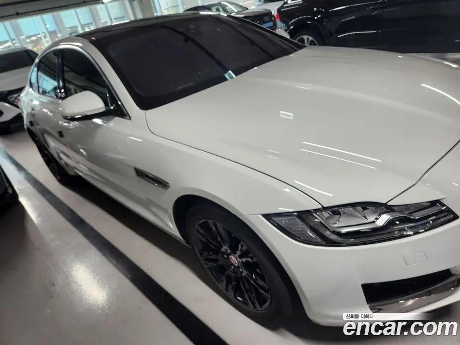 Jaguar XF 2016 2.0 автомат (гидро), фото 3 Jaguar XF 2016 2.0 автомат (гидро), фото 3