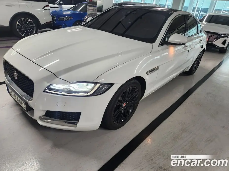Jaguar XF 2016 2.0 автомат (гидро), фото 6 Jaguar XF 2016 2.0 автомат (гидро), фото 6