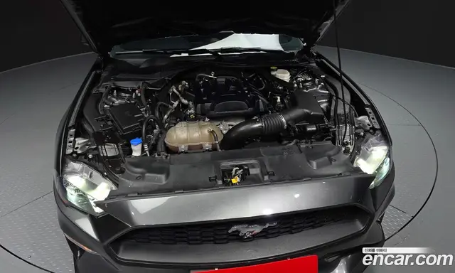 Ford Mustang 2020 2.3 автомат (гидро), миниатюра 6 Ford Mustang 2020 2.3 автомат (гидро), миниатюра 6