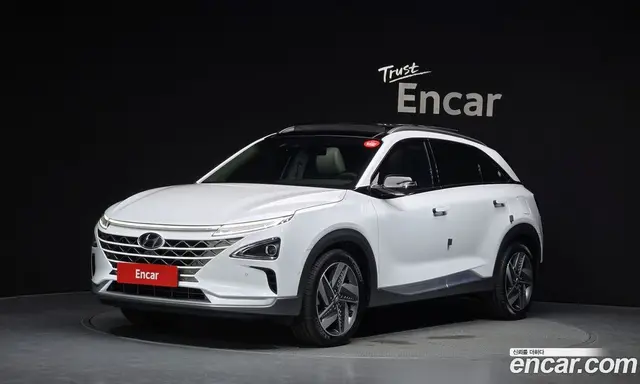 Hyundai Nexo, 2023, 42 253 км