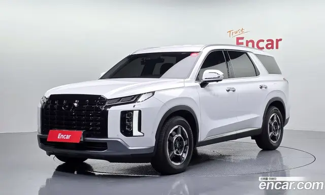 Hyundai Palisade, 2022, 20 160 км
