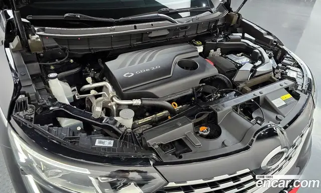 Renault (Samsung) QM6 2019 2.0 автомат (гидро), миниатюра 6