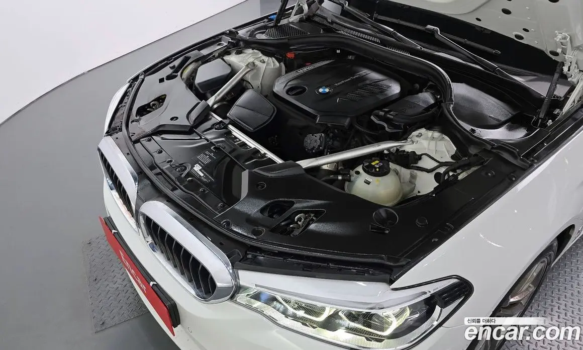 BMW 5 серия 2019 2.0 автомат (гидро), фото 5 BMW 5 серия 2019 2.0 автомат (гидро), фото 5