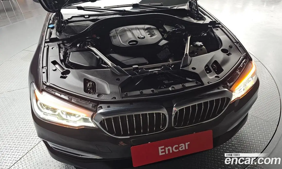 BMW 5 серия 2019 2.0 автомат (гидро), фото 6