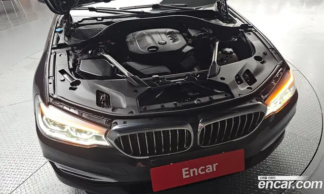 BMW 5 серия 2019 2.0 автомат (гидро), миниатюра 6