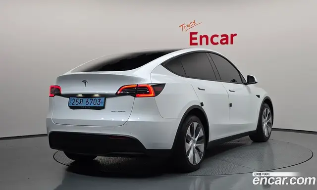 Tesla Model Y 2021 0.2 автомат (гидро), миниатюра 2