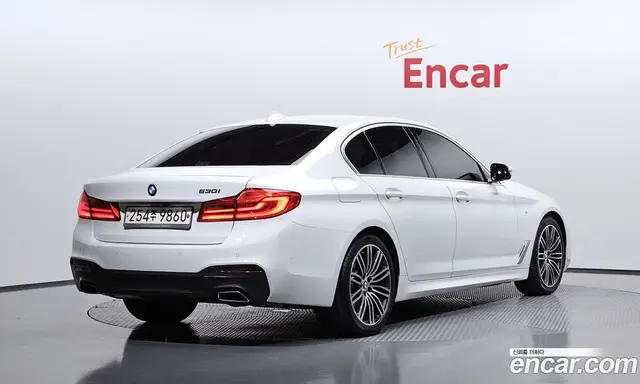 BMW 5 серия 2020 2.0 автомат (гидро), миниатюра 2