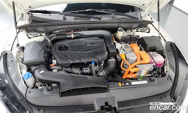 Kia K5 (Optima) 2024 2.0 автомат (гидро), миниатюра 6 Kia K5 (Optima) 2024 2.0 автомат (гидро), миниатюра 6