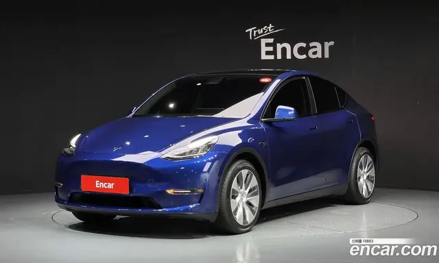 Tesla Model Y, 2021, 46 290 км
