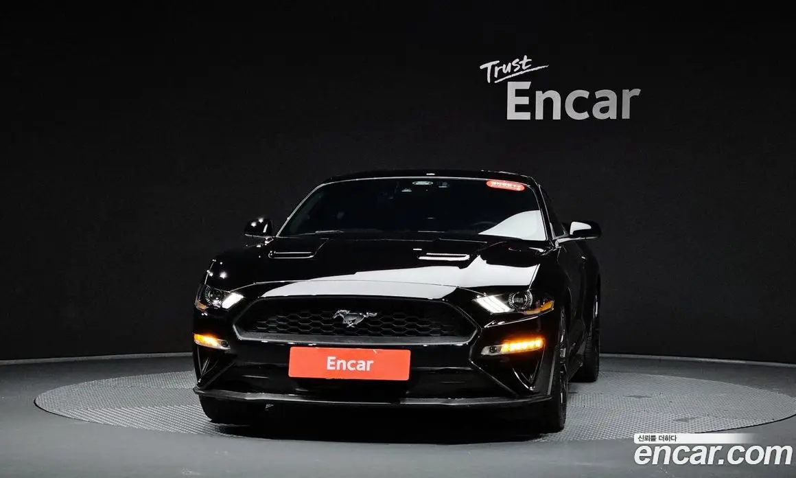 Ford Mustang 2023 2.3 автомат (гидро), фото 2 Ford Mustang 2023 2.3 автомат (гидро), фото 2