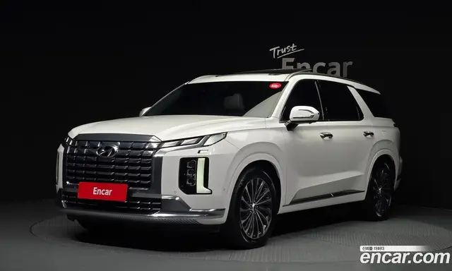 Hyundai Palisade, 2023, 33 887 км
