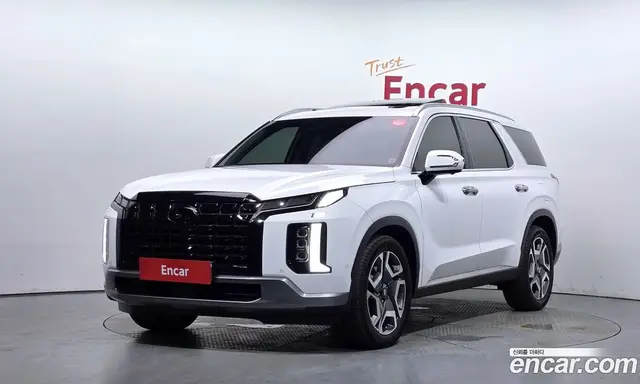 Hyundai Palisade, 2024, 11 893 км