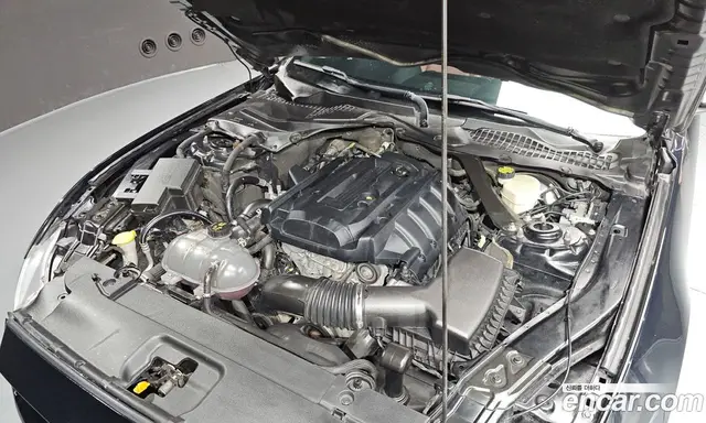 Ford Mustang 2016 2.3 автомат (гидро), миниатюра 5 Ford Mustang 2016 2.3 автомат (гидро), миниатюра 5