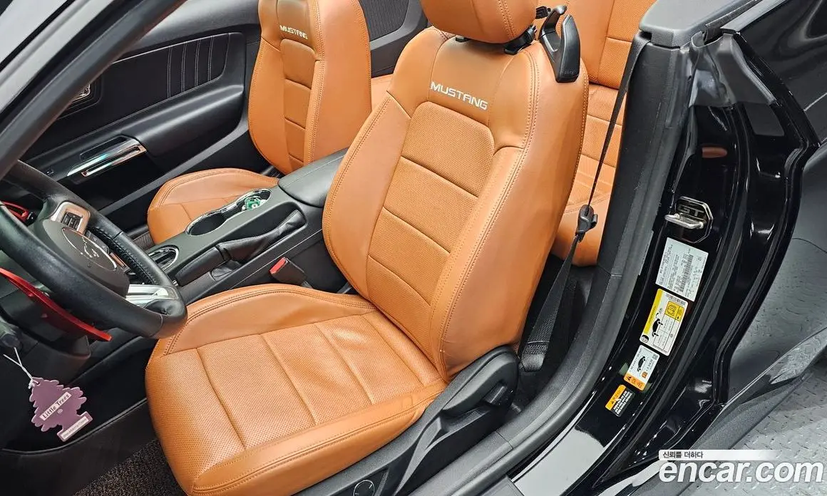 Ford Mustang 2017 5.0 автомат (гидро), фото 15 Ford Mustang 2017 5.0 автомат (гидро), фото 15