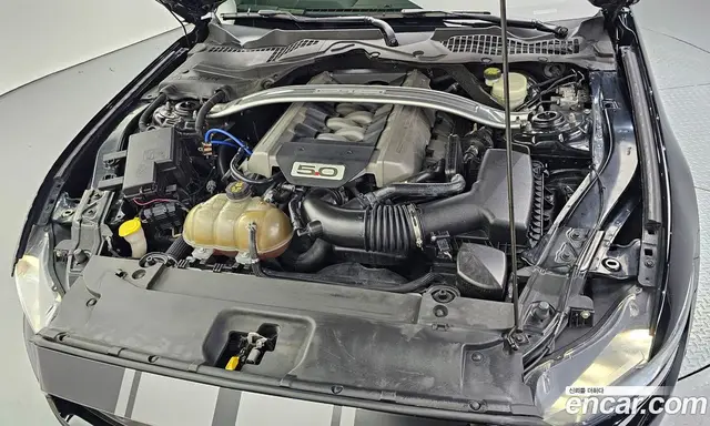 Ford Mustang 2017 5.0 автомат (гидро), миниатюра 5 Ford Mustang 2017 5.0 автомат (гидро), миниатюра 5