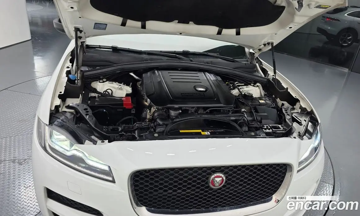 Jaguar F-Pace 2019 2.0 автомат (гидро), фото 6 Jaguar F-Pace 2019 2.0 автомат (гидро), фото 6