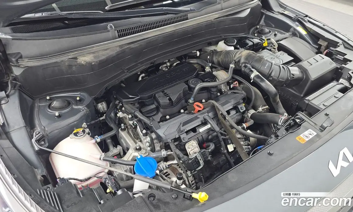 Kia Seltos 2023 1.6 автомат (гидро), фото 6 Kia Seltos 2023 1.6 автомат (гидро), фото 6