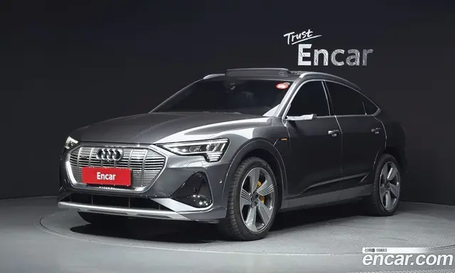 Audi e-tron, 2022, 103 450 км