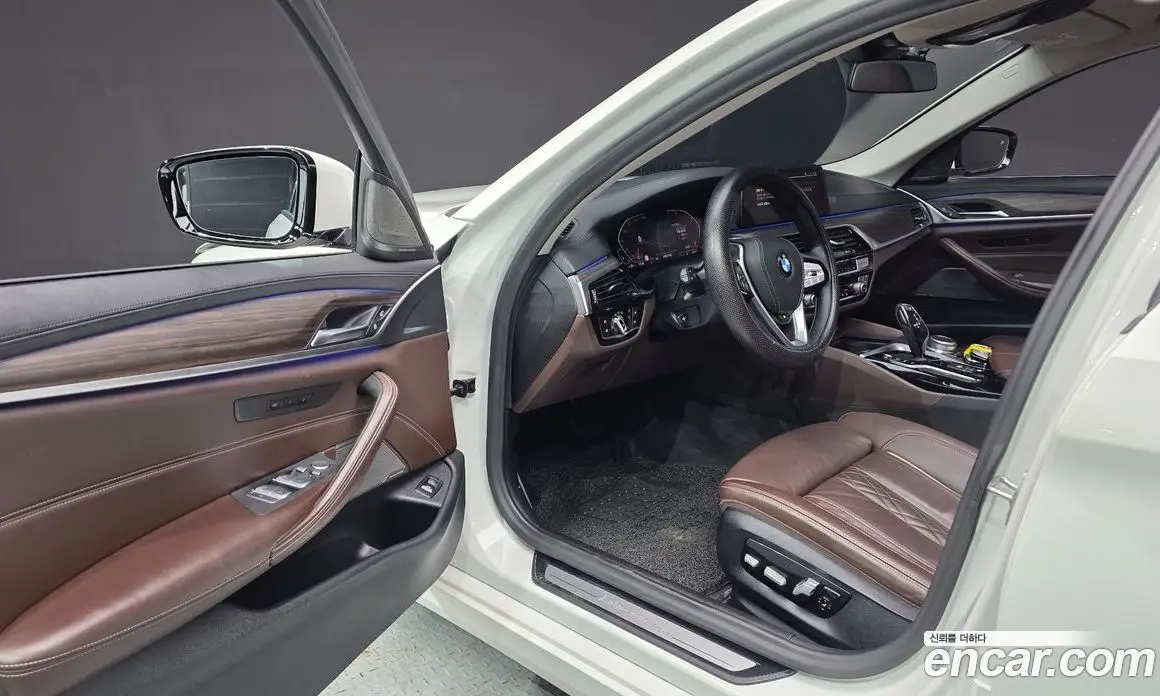 BMW 5 серия 2020 2.0 автомат (гидро), фото 13 BMW 5 серия 2020 2.0 автомат (гидро), фото 13