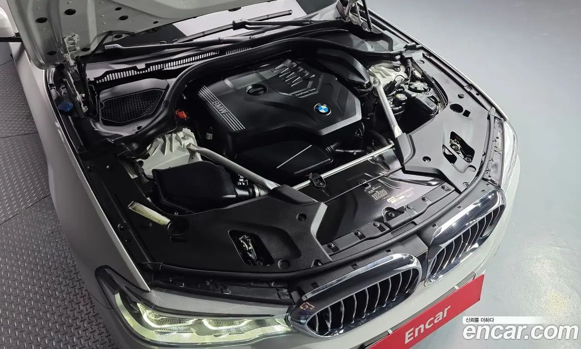 BMW 5 серия 2020 2.0 автомат (гидро), фото 6 BMW 5 серия 2020 2.0 автомат (гидро), фото 6