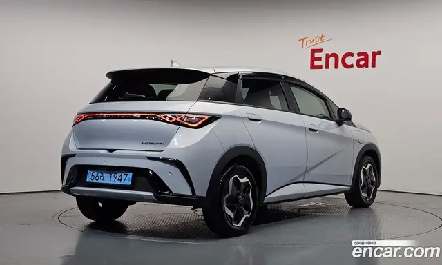 BYD Dolphin 2026 0.1 автомат (гидро), миниатюра 2
