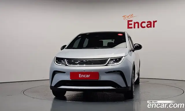 BYD Dolphin 2026 0.1 автомат (гидро), миниатюра 3