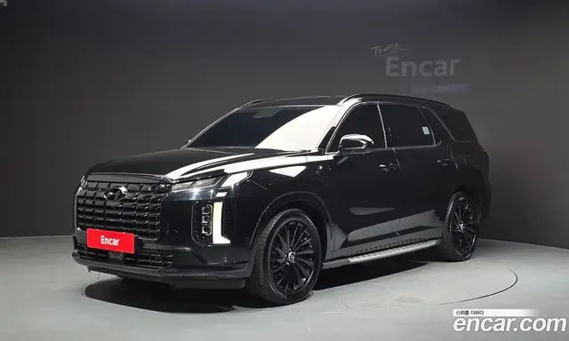 Hyundai Palisade, 2023, 47 871 км