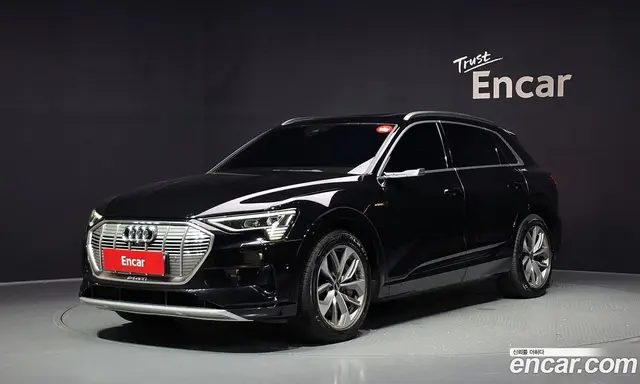 Audi e-tron, 2022, 98 815 км