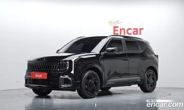 Kia Seltos, 2026, 1 117 км