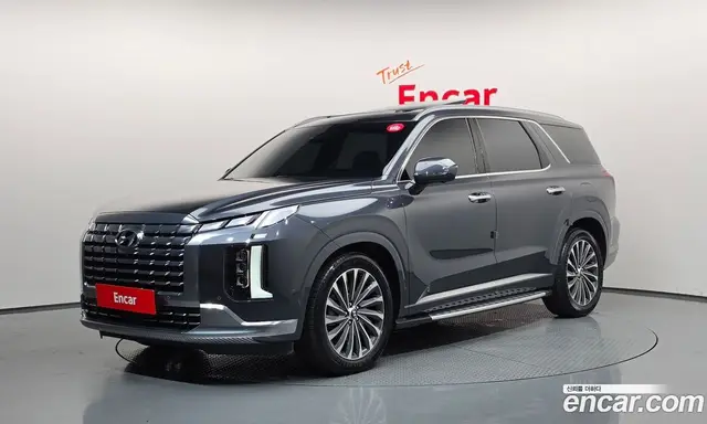 Hyundai Palisade, 2023, 20 375 км