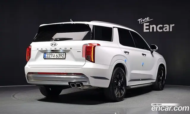 Hyundai Palisade, 2024, 38 646 км