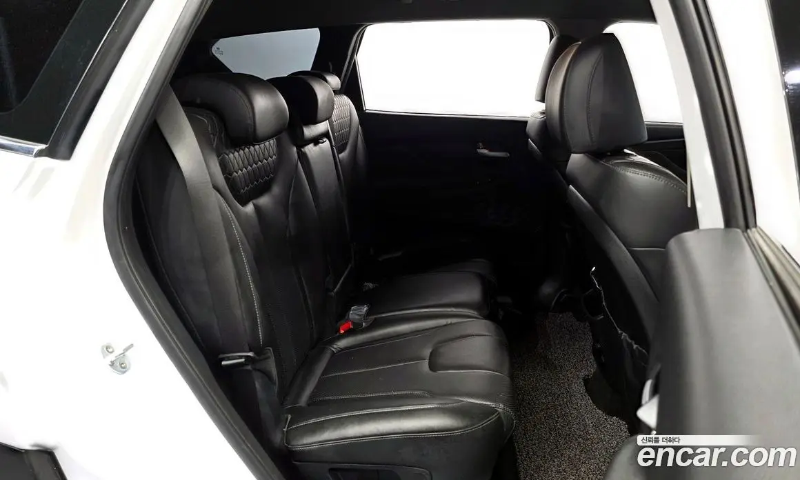 Hyundai Santa Fe 2019 2.0 автомат (гидро), фото 18 Hyundai Santa Fe 2019 2.0 автомат (гидро), фото 18