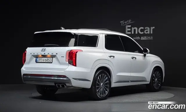 Hyundai Palisade, 2023, 46 566 км