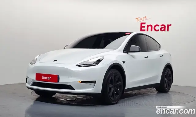 Tesla Model Y 2021 0.2 автомат (гидро), миниатюра 1
