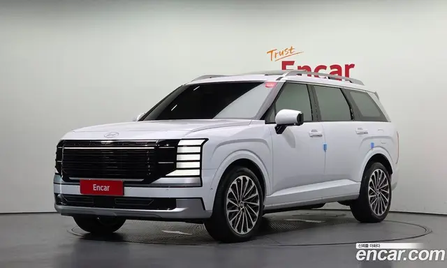 Hyundai Palisade, 2025, 29 005 км