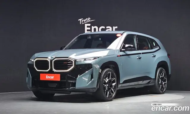 BMW XM, 2025, 5 317 км