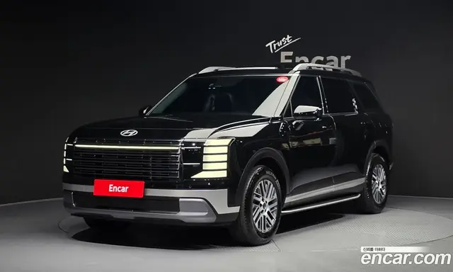 Hyundai Palisade, 2025, 13 896 км