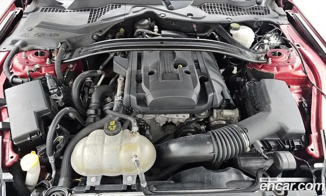 Ford Mustang 2019 2.3 автомат (гидро), миниатюра 6 Ford Mustang 2019 2.3 автомат (гидро), миниатюра 6