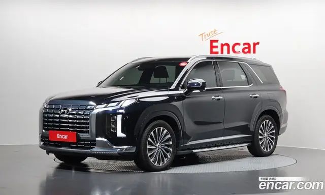 Hyundai Palisade, 2023, 19 642 км