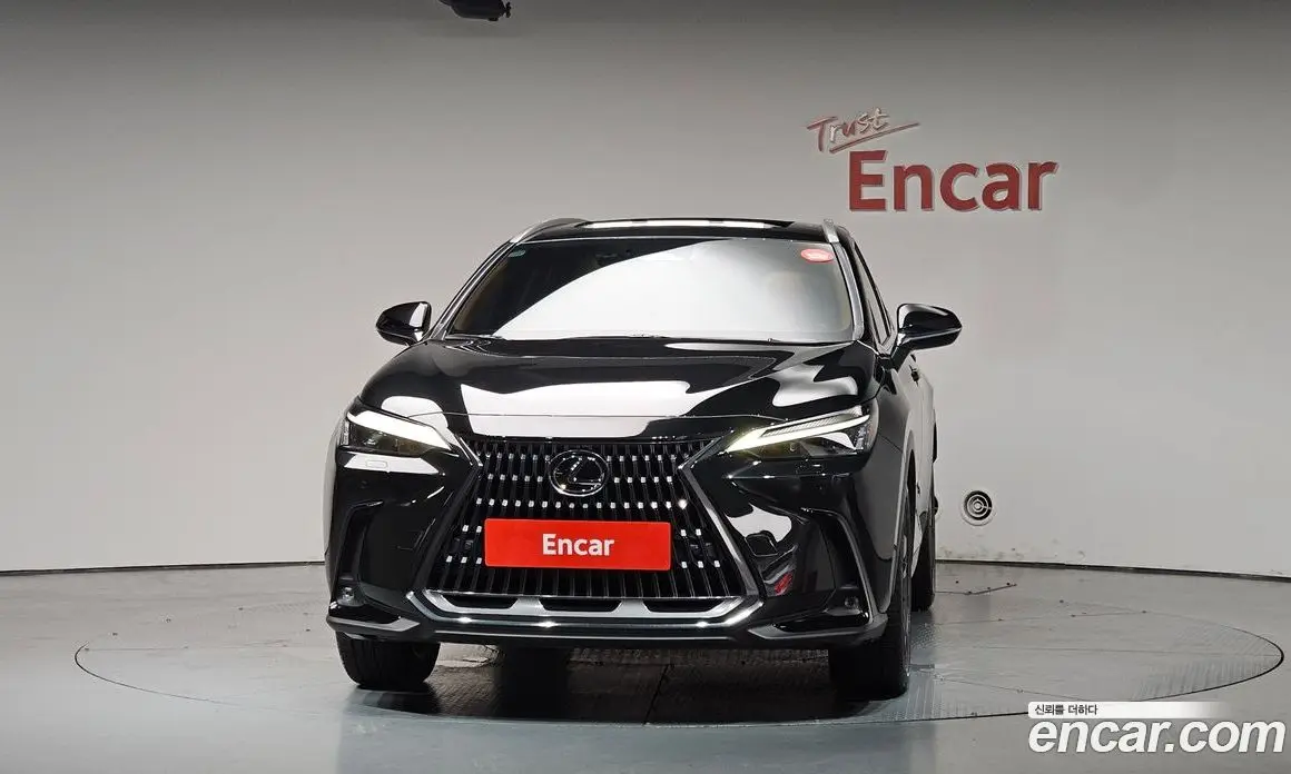 Lexus NX 2025 2.5 автомат (гидро), фото 3