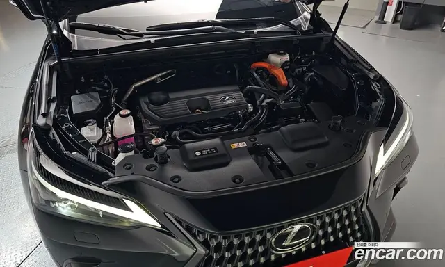 Lexus NX 2025 2.5 автомат (гидро), миниатюра 6